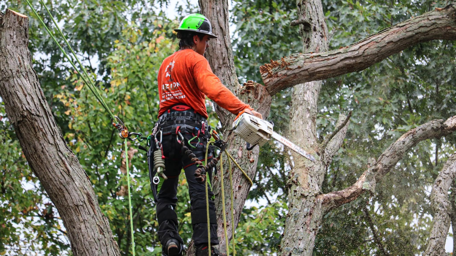 Storm Damage Cleanup