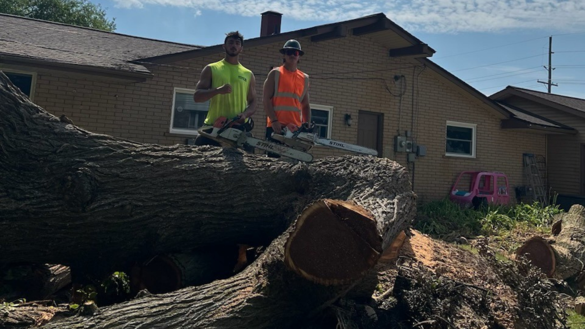 Tree Removal